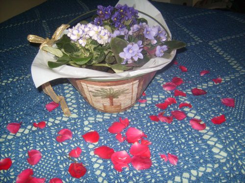 Presente-009